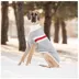 GF PET® Trekking Dog Sweater image thumbnail 4