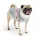 Product GF PET® Trekking Dog Sweater