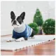 Product GF PET® Trekking Dog Sweater