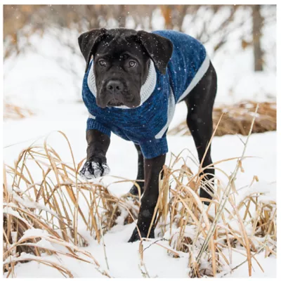 Product GF PET® Trekking Dog Sweater