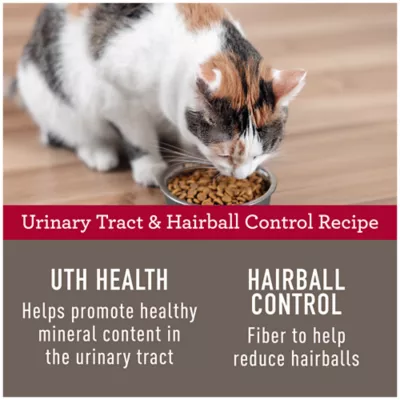 Product Simply Nourish® Urinary Tract & Hairball Control Adult Dry Cat Food - Natural, Chicken