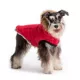 Product GF PET® Elasto-fit® Urban Dog Parka