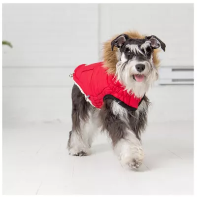 Product GF PET® Elasto-fit® Urban Dog Parka