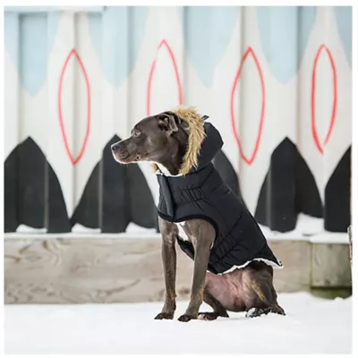 GF PET® Elasto-fit® Urban Dog Parka - Image 5