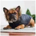 GF PET® Elasto-fit® Urban Dog Parka image thumbnail 4