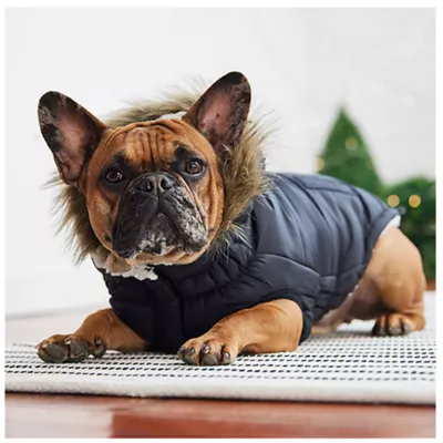 GF PET® Elasto-fit® Urban Dog Parka - Image 4