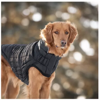 GF PET® Elasto-fit® Reversible Chalet Dog Jacket - Image 4