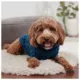 Product GF PET® Chalet Dog Sweater