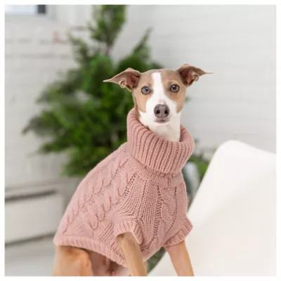 Product GF PET® Chalet Dog Sweater