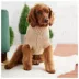 GF PET® Chalet Chunky Knit Dog Sweater image thumbnail 4