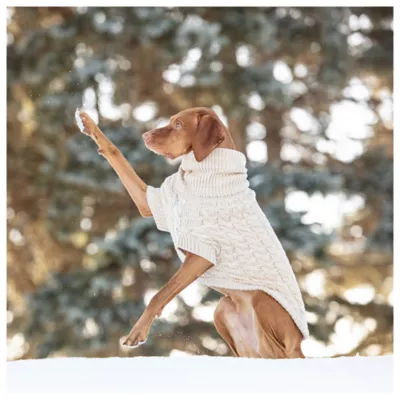 GF PET® Chalet Chunky Knit Dog Sweater - Image 5