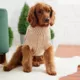 Product GF PET® Chalet Dog Sweater