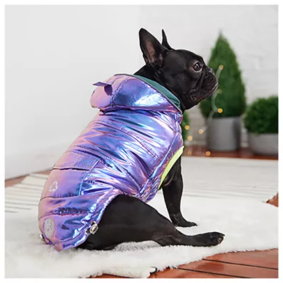 GF PET® Elasto-fit® Iridescent Recycled Dog Parka - Image 4
