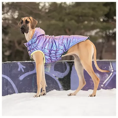 GF PET® Elasto-fit® Iridescent Recycled Dog Parka - Image 5