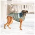 GF PET® Elasto-fit® Camplife Dog Puffer image thumbnail 5