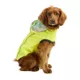Product GF PET® Elasto-fit® Neon Reversible Dog Raincoat