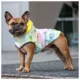 Product GF PET® Elasto-fit® Neon Reversible Dog Raincoat