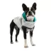 GF PET® Elasto-fit® Neon Reversible Dog Raincoat image thumbnail 2