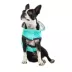 GF PET® Elasto-fit® Neon Reversible Dog Raincoat image thumbnail 4