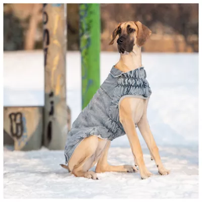 GF PET® Elasto-fit® Light Wash Denim Dog Jacket - Image 5