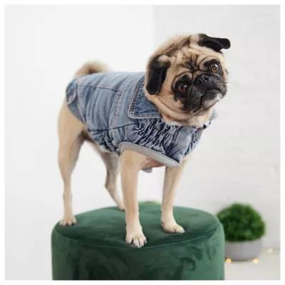GF PET® Elasto-fit® Light Wash Denim Dog Jacket - Image 4