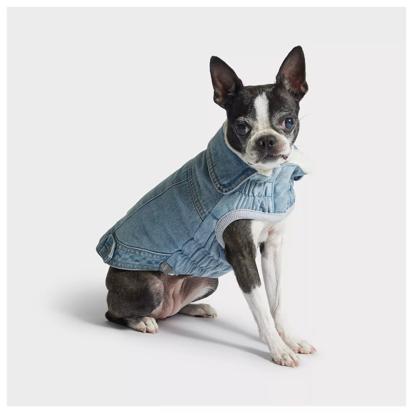 Kmart dog denim jacket best sale