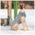 GF PET® Elasto-fit® Light Wash Denim Dog Jacket image thumbnail 5