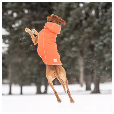 Product GF PET® Elasto-fit® Insulated Dog Raincoat