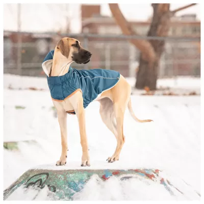 Product GF PET® Elasto-fit® Insulated Dog Raincoat