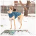 GF PET® Elasto-fit® Insulated Dog Raincoat image thumbnail 5