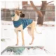 Product GF PET® Elasto-fit® Insulated Dog Raincoat