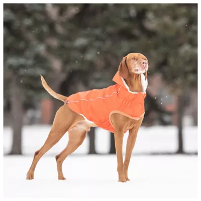 Product GF PET® Elasto-fit® Insulated Dog Raincoat