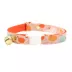 Made By Cleo® Gourd Times Orange Fall Pumpkin Breakaway Cat Collar image thumbnail 1
