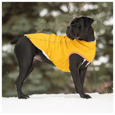 GF PET® Elasto-fit® Insulated Dog Raincoat - Image 4