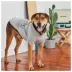 GF PET® Go Outside Graphic Dog Tee image thumbnail 4