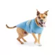 Product GF PET® Vintage Graphic Dog Tee