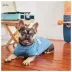 GF PET® Vintage Graphic Dog Tee image thumbnail 4