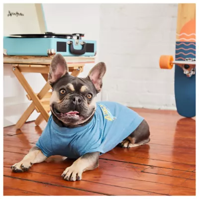 GF PET® Vintage Graphic Dog Tee - Image 4