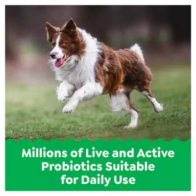 Product Greenies Digestive Health Supplements