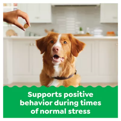 Product Greenies Calming Supplements