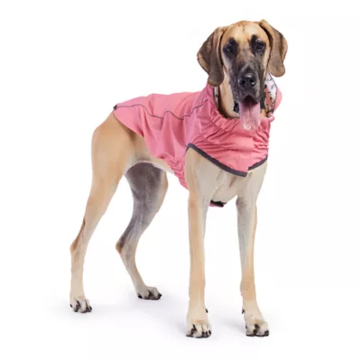 Product GF PET® Elasto-fit® Printed Reversible Dog Raincoat