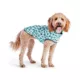 Product GF PET® Elasto-fit® Printed Reversible Dog Raincoat