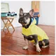Product GF PET® Elasto-fit® Printed Reversible Dog Raincoat