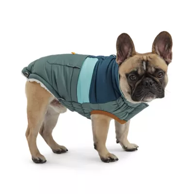 Product GF PET® Elasto-fit® Camplife Dog Puffer