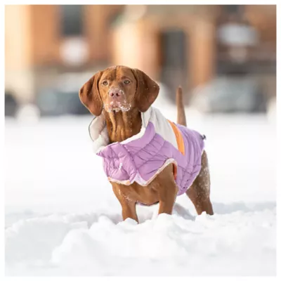 Product GF PET® Elasto-fit® Camplife Dog Puffer
