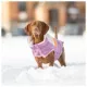Product GF PET® Elasto-fit® Camplife Dog Puffer