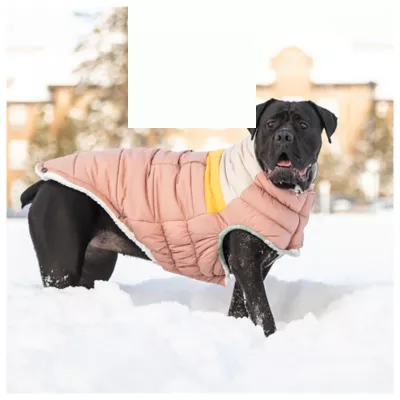 GF PET® Elasto-fit® Camplife Dog Puffer - Image 4