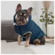 Product GF PET® Elasto-fit® Arctic Dog Parka