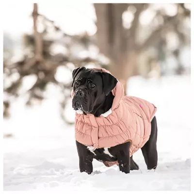 GF PET® Elasto-fit® Arctic Dog Coat - Image 5