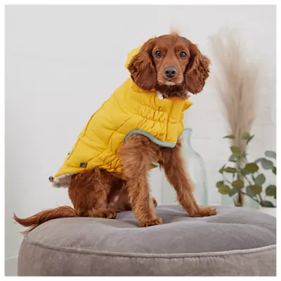 GF PET® Elasto-fit® Arctic Dog Coat - Image 4